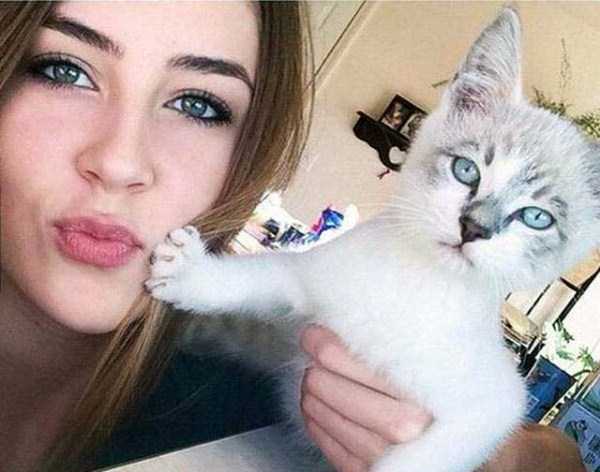 animals who dont like selfies 14