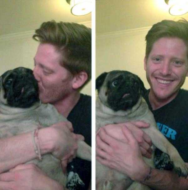 Pets Who Clearly Hate Selfies (26 photos)