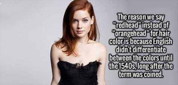 Improve Your Knowledge With These Random Facts (34 photos)