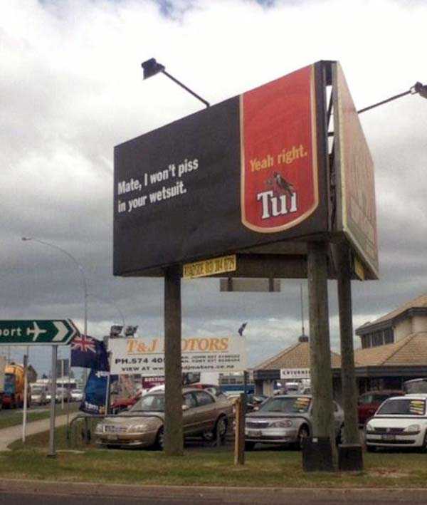 Meanwhile In New Zealand (27 photos)