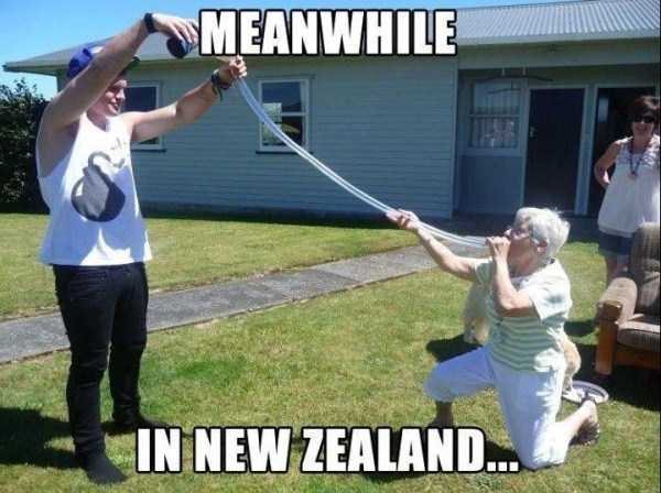 Meanwhile In New Zealand (27 photos)