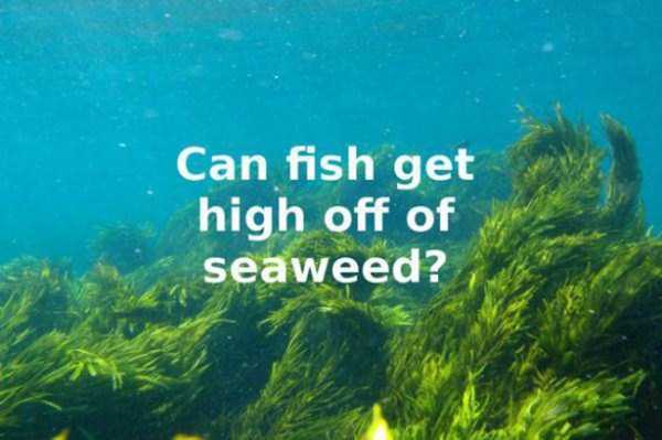 26 Fairly Stupid Questions (26 photos) 24
