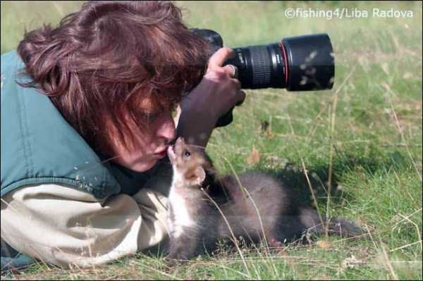 animals photographers 19