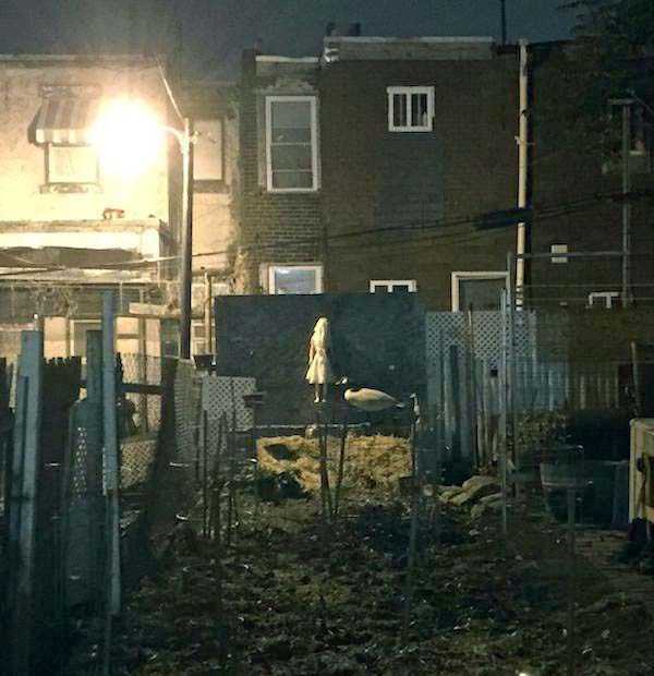 That Weird Side of the Internet – Part 12 (34 photos)