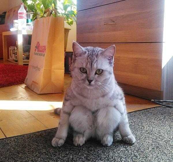 Hilarious Misleading Photos (30 photos)