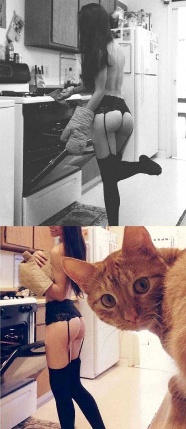 A Little Fun for Adults – Part 16 (59 photos)