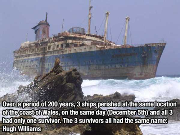 Random Interesting Facts (76 photos)