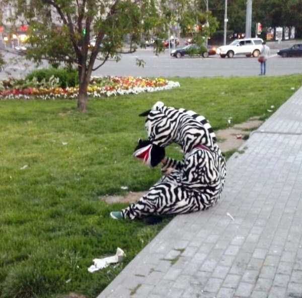 A Small Dose of Russian Weirdness – Part 12 (41 photos)