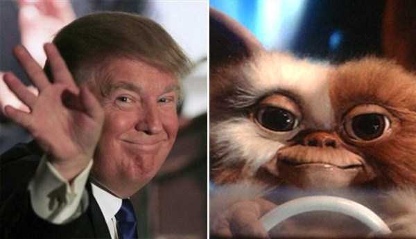 Donald Trump Look Alikes (20 photos)