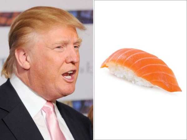 things that look like donald trump 16