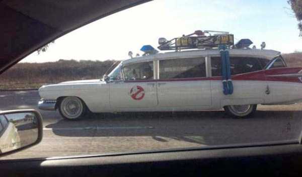 weird things seen while commuting 60 Strange Sights Seen While Commuting (69 photos)