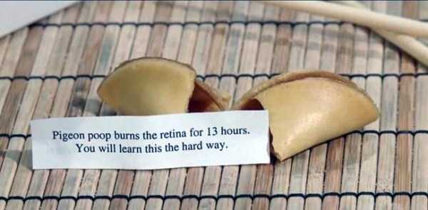Hilariously Sarcastic Fortune Cookie Sayings (24 photos)
