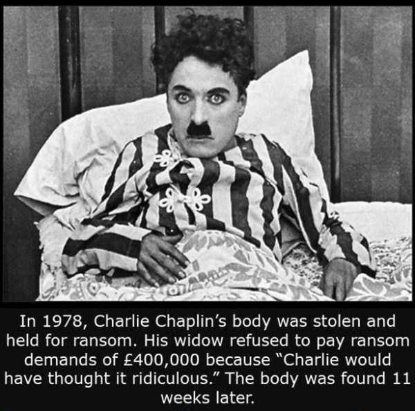 It’s Time for Some Cool and Interesting Facts   Part 2 (32 photos)