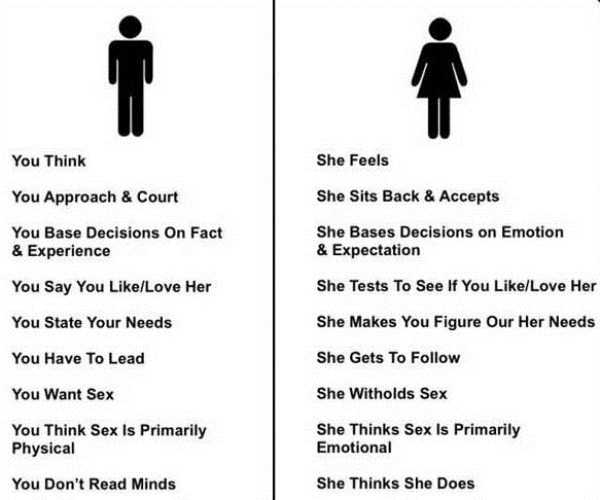 Male Logic vs Female Logic (36 photos)