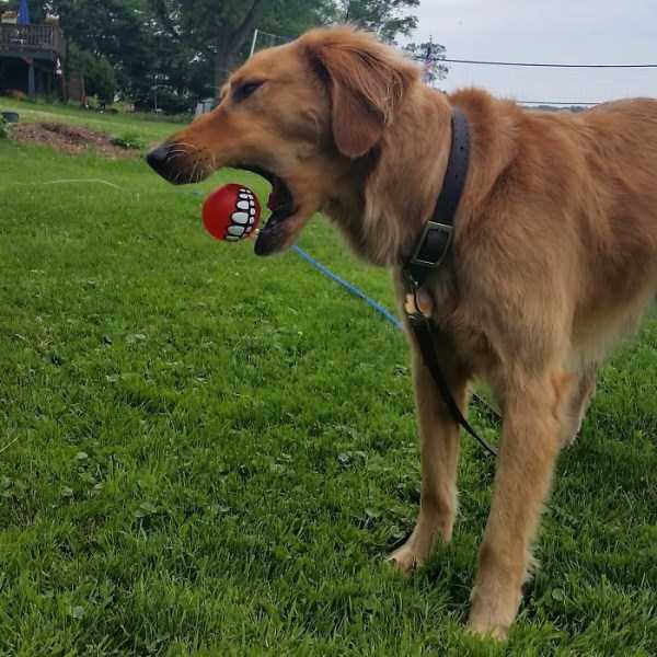 Perfectly Timed Photos (46 photos)