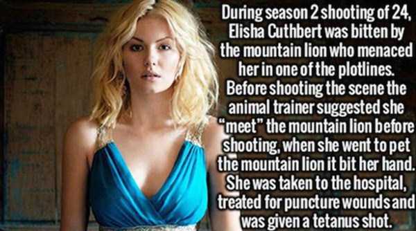 It’s Time for Some Cool and Interesting Facts – Part 4 (20 photos)