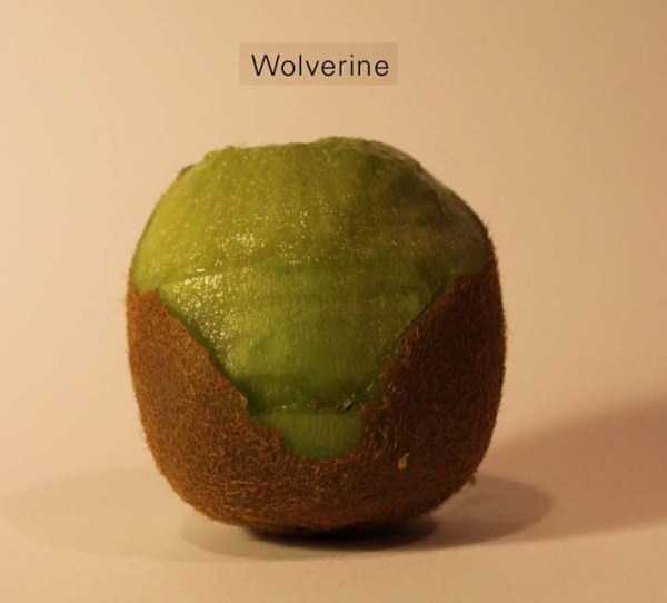 Anthony Chidiac carved kiwi fruits 16 Surprisingly Secret Identities of Kiwi Fruits (29 photos)