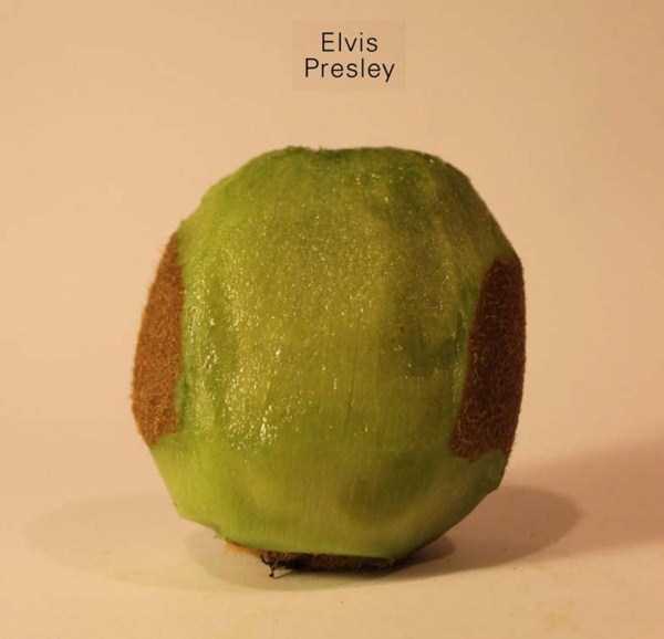 Anthony Chidiac carved kiwi fruits 20 Surprisingly Secret Identities of Kiwi Fruits (29 photos)