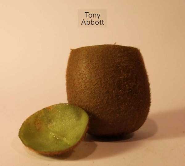 Anthony Chidiac carved kiwi fruits 28 Surprisingly Secret Identities of Kiwi Fruits (29 photos)