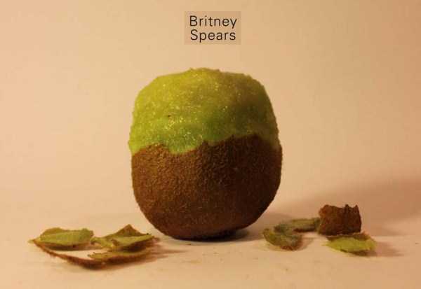 Anthony Chidiac carved kiwi fruits 6 Surprisingly Secret Identities of Kiwi Fruits (29 photos)