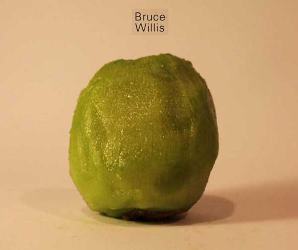 Anthony Chidiac carved kiwi fruits 9 Surprisingly Secret Identities of Kiwi Fruits (29 photos)