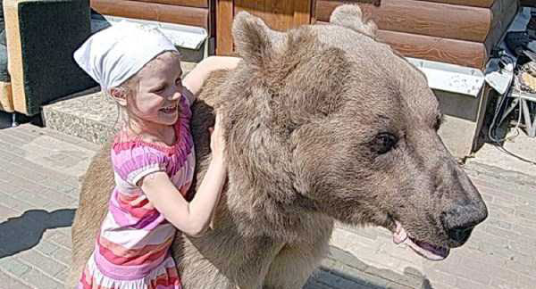 Brave Little Girl and the Bear (6 photos)