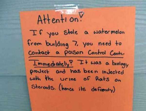 Something Obviously Went Wrong Here (46 photos)