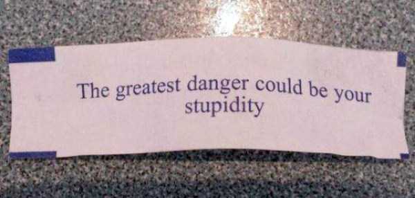 Painfully Dumb People (66 photos)