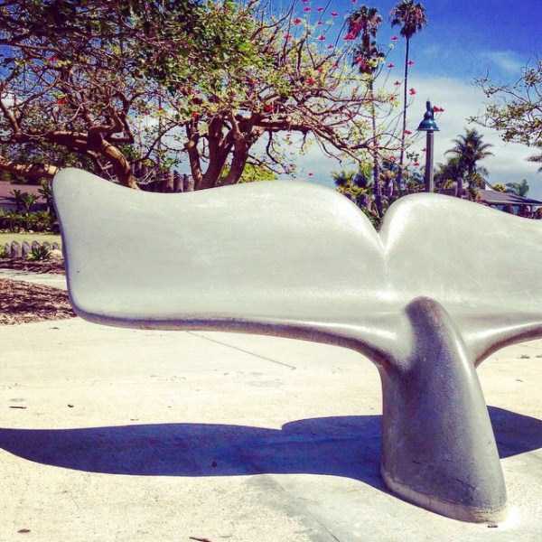Unusual Looking Benches (41 photos)