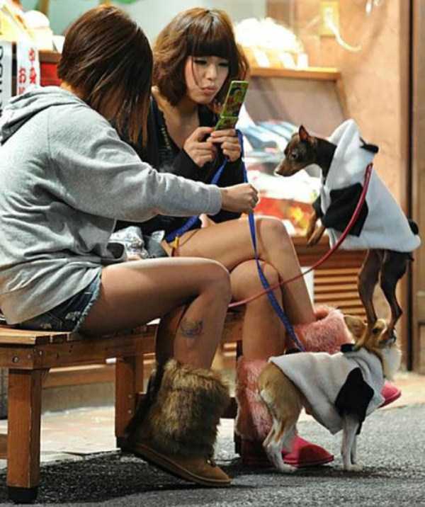 WTF Asia (49 photos)