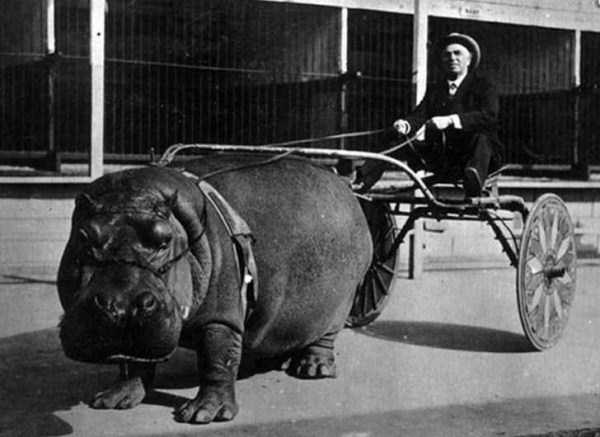 29 Utterly Creepy Pictures from the Past (29 photos)