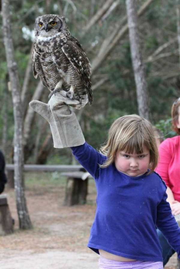 Grumpy Girl With an Owl (17 photos)