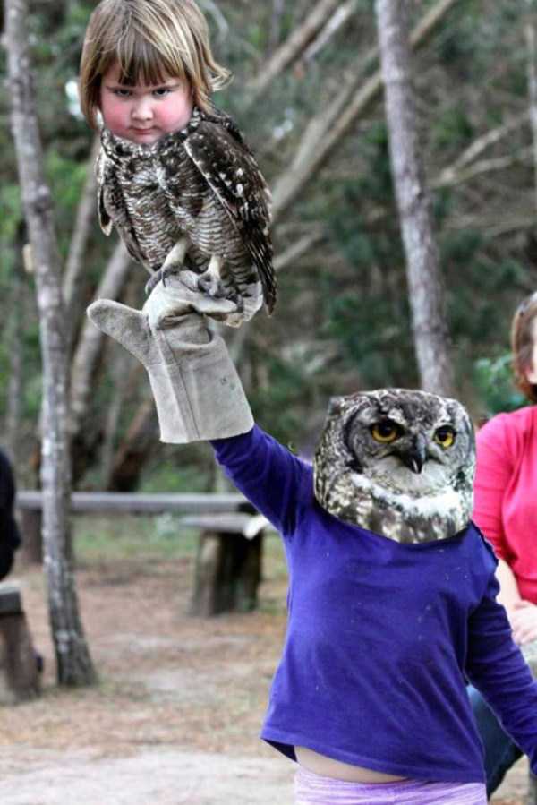 Grumpy Girl With an Owl (17 photos)
