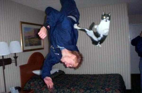 Perfectly Timed Photos (38 photos)
