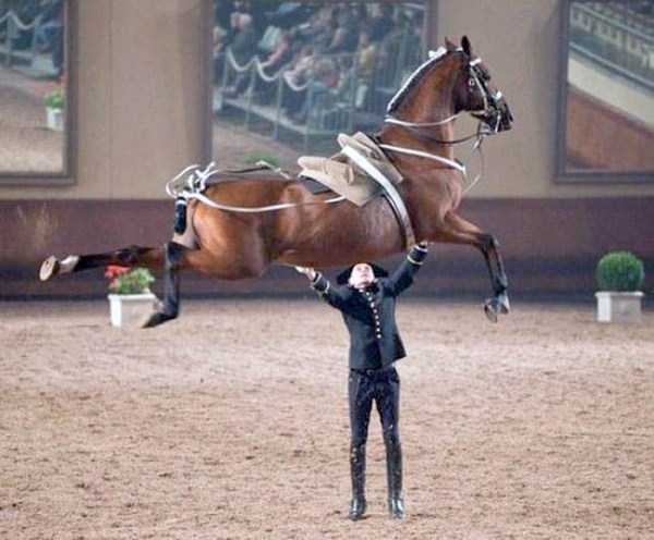 Perfectly Timed Photos (38 photos)