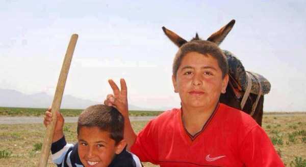 Perfectly Timed Photos (38 photos)