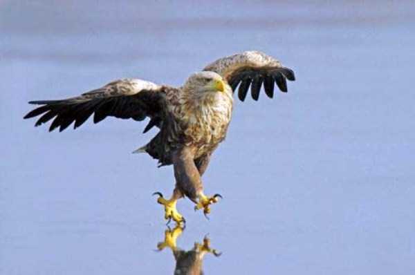 Perfectly Timed Photos (38 photos)