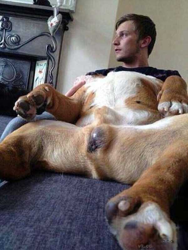 Perfectly Timed Photos (38 photos)