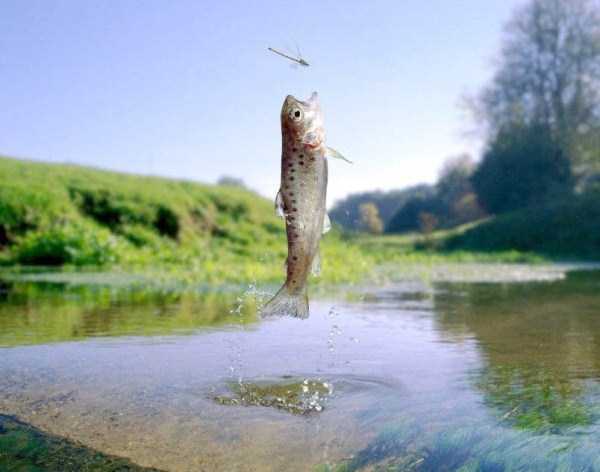 Perfectly Timed Photos (38 photos)