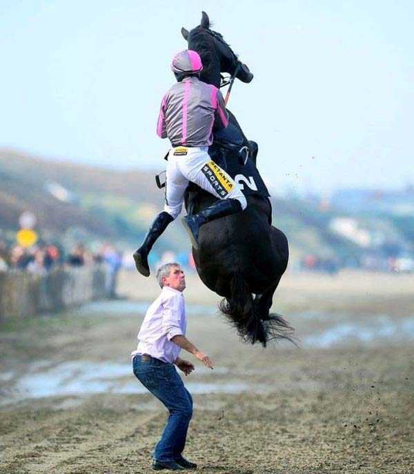 Perfectly Timed Photos (38 photos)