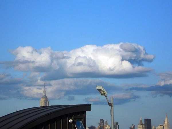 Perfectly Timed Photos (38 photos)