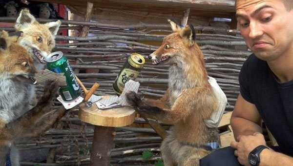 taxidermy fails 1 Taxidermy Gone Awfully Wrong (34 photos)