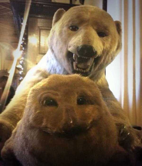 taxidermy fails 13 Taxidermy Gone Awfully Wrong (34 photos)