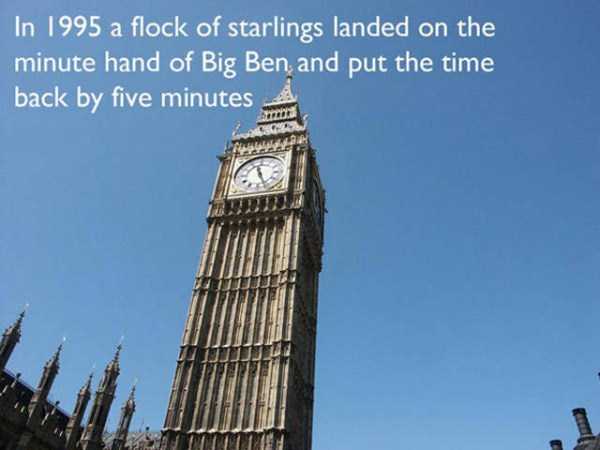 london facts 18