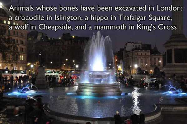 london facts 27