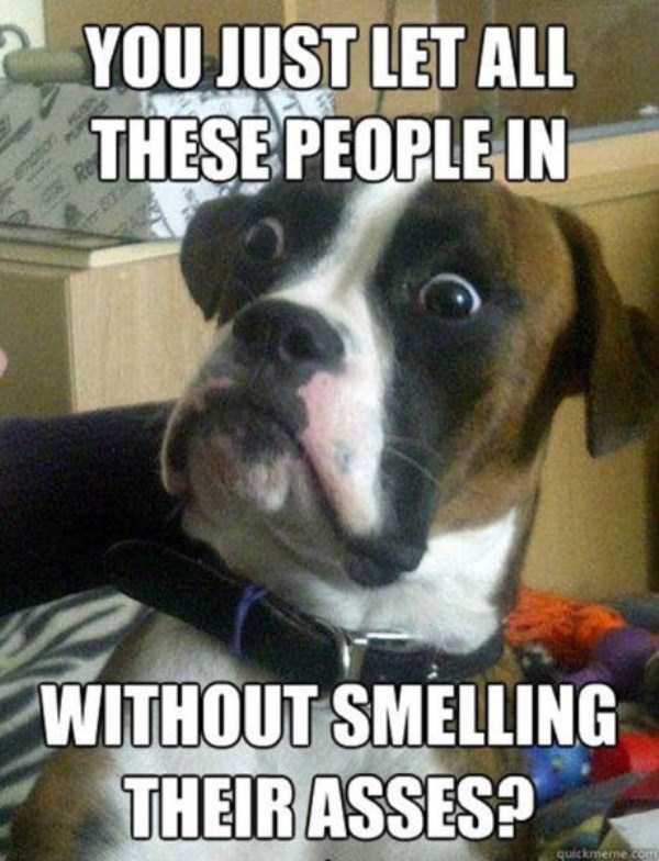 60 Pics Improved With Funny Captions (60 photos)
