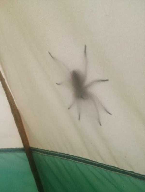 50 Funny Camping Pictures (50 photos)