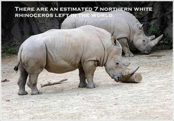 It’s Time for Some Cool and Interesting Facts – Part 27 (23 photos)