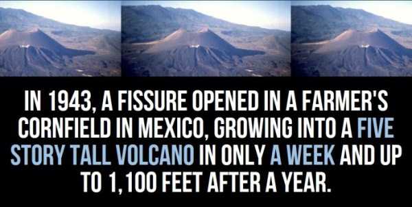 30 Super Interesting Facts About Mexico (30 photos)