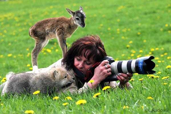 Being a Wildlife Photographer Must Be Awesome (27 photos)